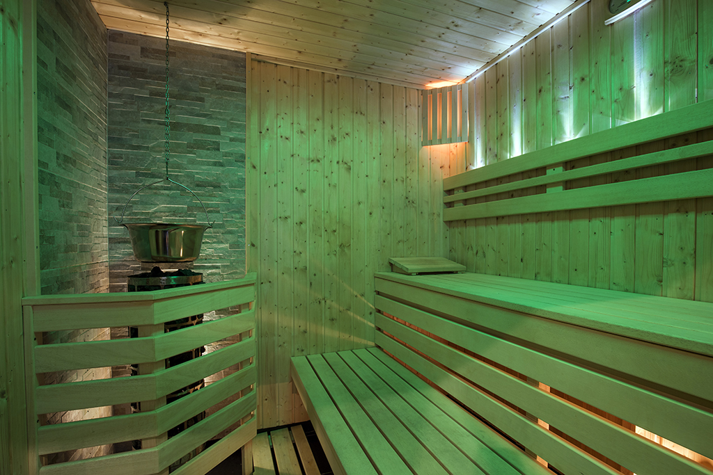 Empty bio sauna